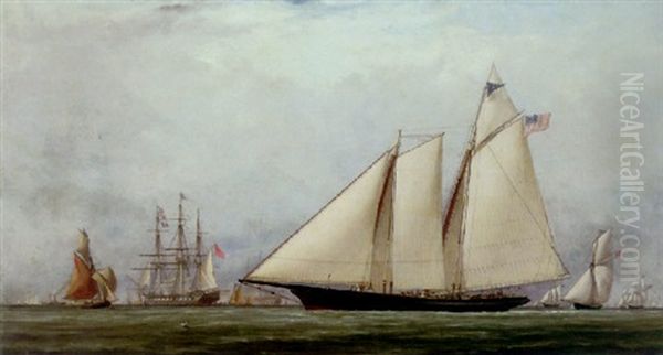 The Schooner Yacht 