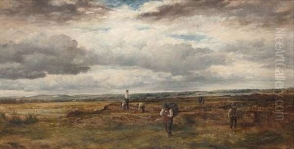 The Bog At Derravaragh, Co. Westmeath Oil Painting by Erskine Nicol