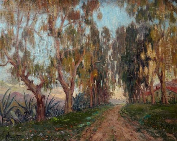 Allee D'eucalyptus Et D'aloes, Cavignac Oil Painting by Paul Nicolai