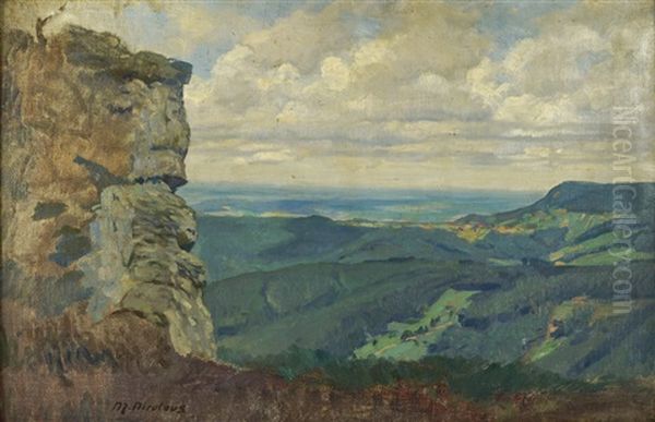 Blick Von Der Hohe In Die Landschaft Bei Kirchheim/teck Oil Painting by Martin Nicolaus