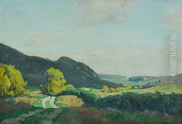 New Zealand Landscape by Archibald Frank Nicoll