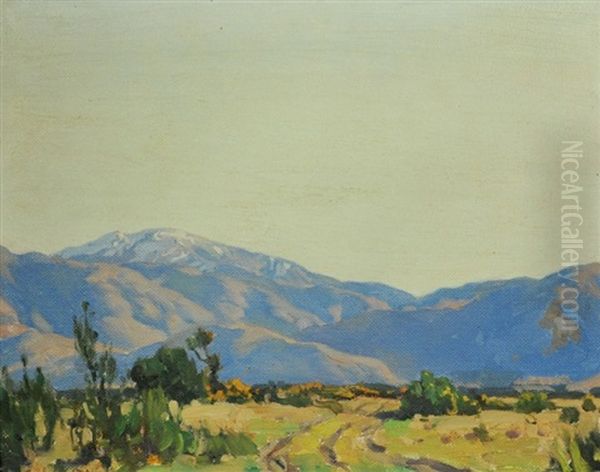 Road To The Mountains, New Zealand Oil Painting by Archibald Frank Nicoll