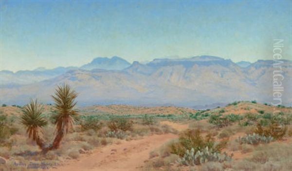 Oracle Arizona Oil Painting by Audley Dean Nicols