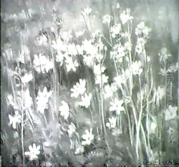 Wiesenblumen Oil Painting by Sophie von Niederhausern