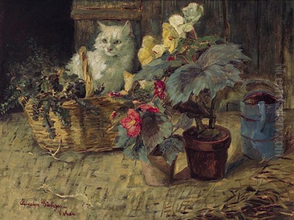 Begonienbluten Und Weise Katze Im Sonnigen Licht Oil Painting by Clemence Nielssen