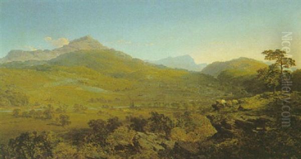 View Of Cader Idris And Dolgellau Oil Painting by Edmund John Niemann