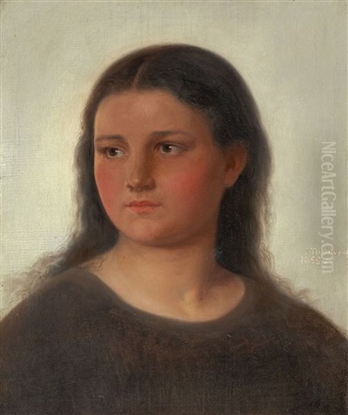 Portrait Of A Young Woman Oil Painting by Johannes Niessen