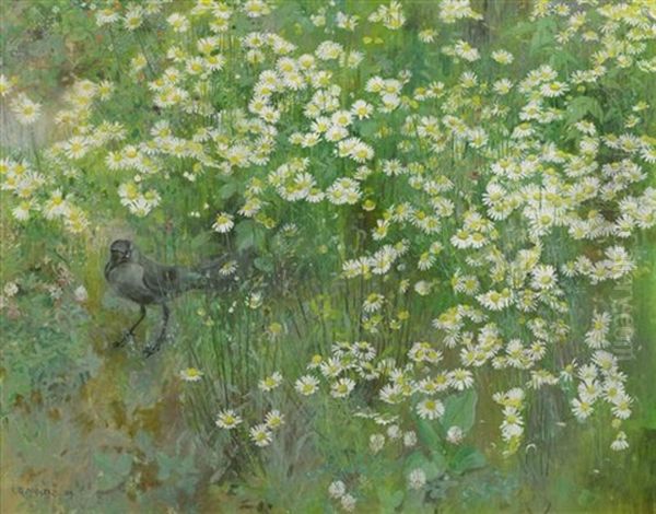 Coucas Dans Champ De Marguerites Oil Painting by Jean Boe Niestle