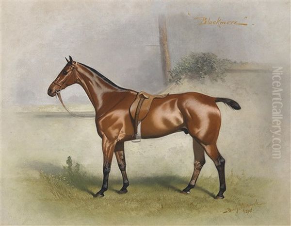 Blackmore, Sportpferd Oil Painting by Basil Nightingale