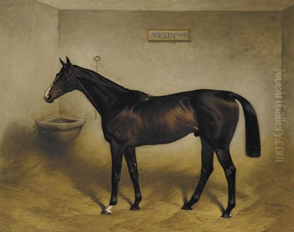 The Racehorse 