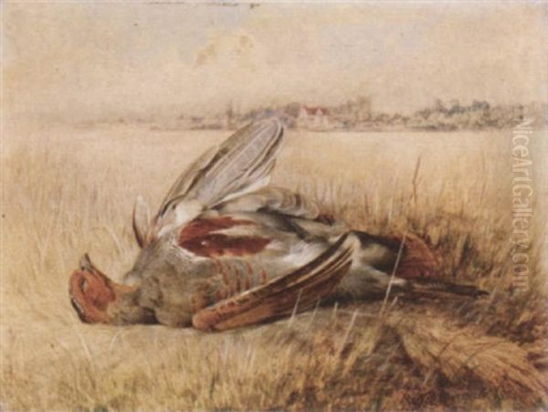 A Partridge In A Field Oil Painting by Robert Nightingale