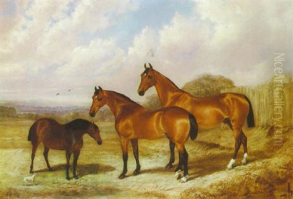 Horses In A Landscape Oil Painting by Robert Nightingale