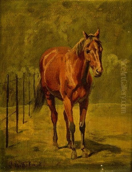 Horse Oil Painting by Arthur Johann Severin Nikutovski