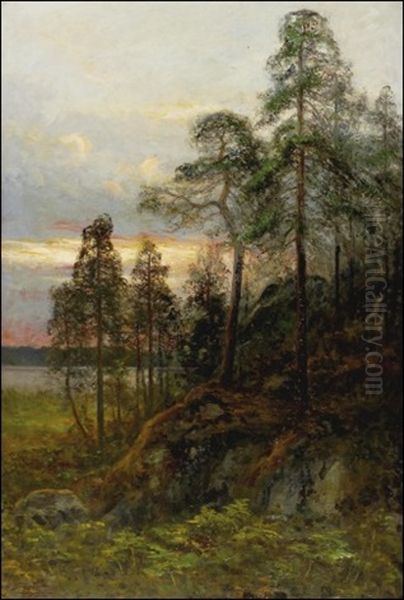 Ilta Sateen Jalkeen Oil Painting by Johan Severin Nilsson