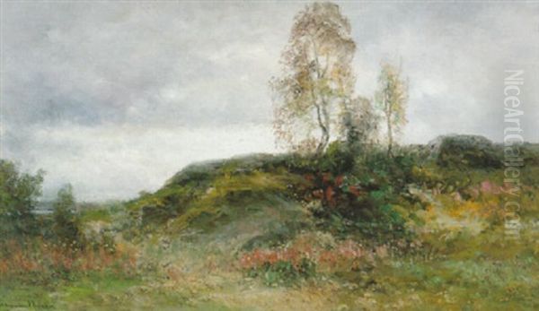 Bergbacke I Kolmarden by Johan Severin Nilsson