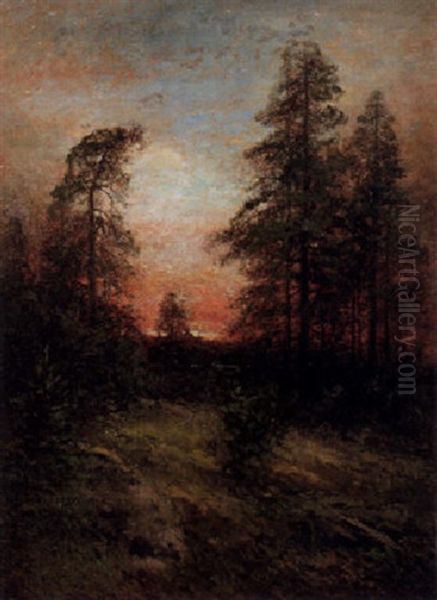 Afton, Motiv Fran Kolmarden Oil Painting by Johan Severin Nilsson