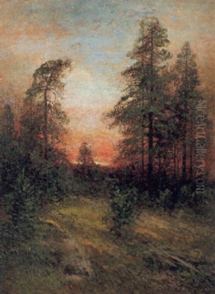 Afton, Motiv Fran Kolmarden Oil Painting by Johan Severin Nilsson