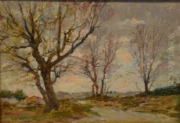 Plateau Des Lauves A Aix-en-provence Oil Painting by Barthelemy Niollon