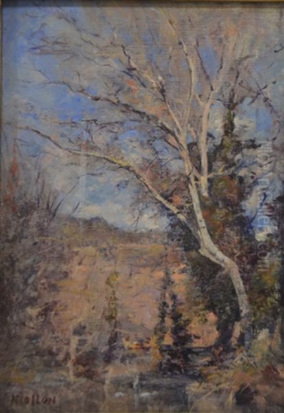 Arbre Dans La Campagne Aixoise Oil Painting by Barthelemy Niollon