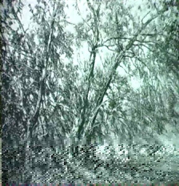 Willows By The River Oil Painting by Robert Buchan Nisbet