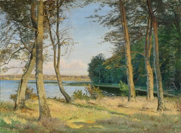 Lake Scenery With Houses In The Distance Oil Painting by Thorvald Simeon Niss