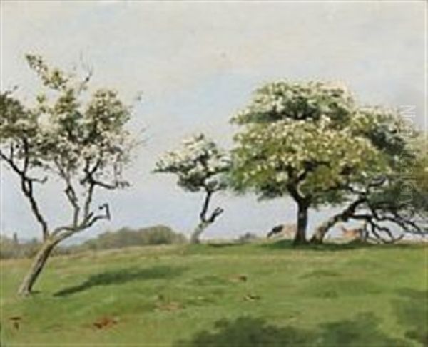 Blomstrende Hvidtjorn I Jaegersborg Dyrehave Oil Painting by Thorvald Simeon Niss