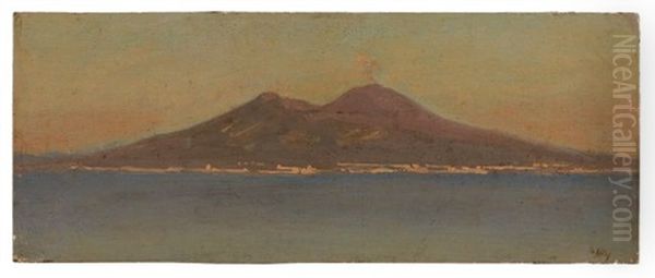 Vue Du Vesuve Et De La Baie De Naples Au Levant Oil Painting by Giuseppe de Nittis