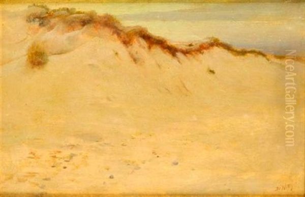 Dune De Sable Oil Painting by Giuseppe de Nittis