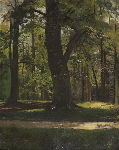 Waldlichtung Im Tiergarten Berlin Oil Painting by Jacob Nobbe