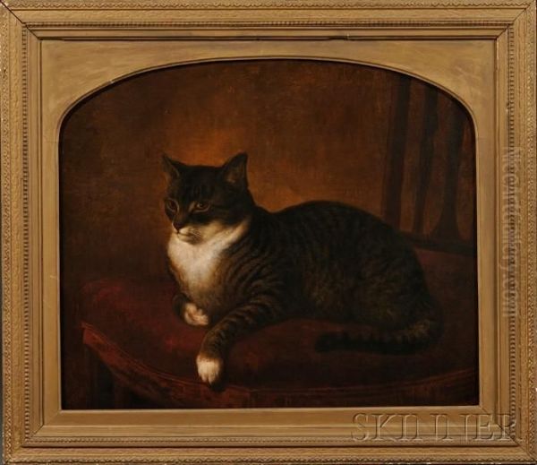 Portrait Of A Gray Tiger Cat Seated On A Chair. Oil Painting by Henry Collins Bispham