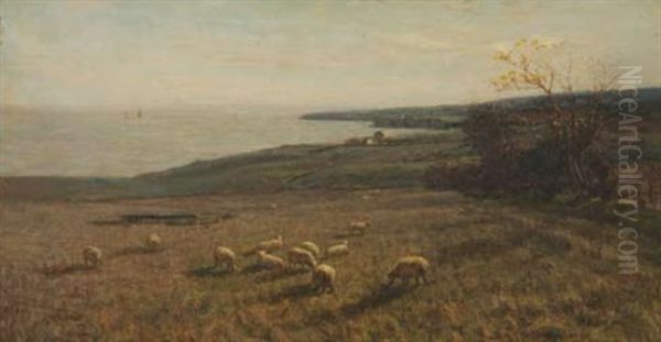 Coastal Landscape With Grazing Sheep Oil Painting by James Campbell Noble