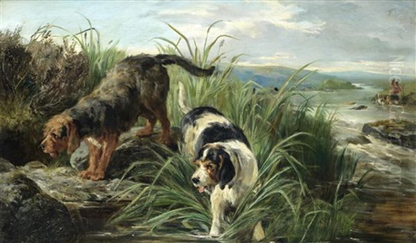 Otter Hounds On The Scent Oil Painting by John Sargent Noble