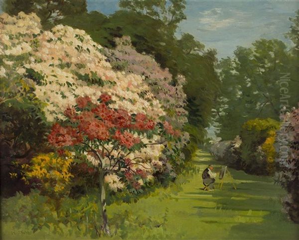 Rhododendrons In Bloom Oil Painting by Robert Noble