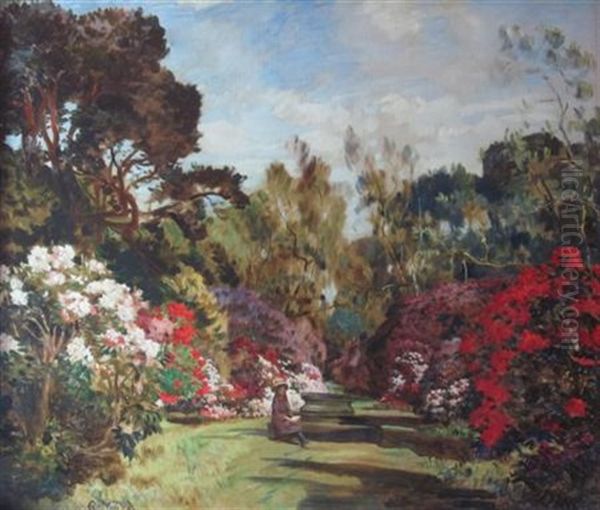 Rhododendrons Oil Painting by Robert Noble