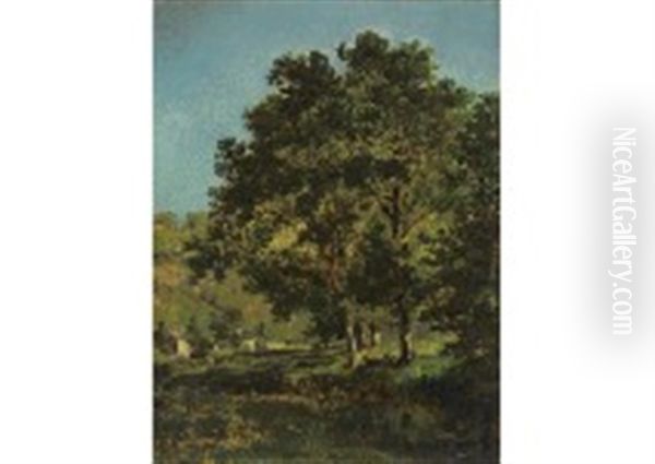 Le Ruisseau Pres Des Grands Cedres Oil Painting by Jules Achille Noel