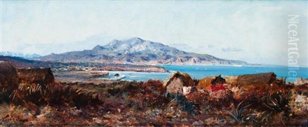 La Baie De Tipaza Oil Painting by Maxime Noire