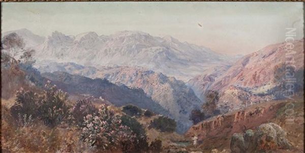 Lauriers Rose Dans Les Montagnes De Kabylie Oil Painting by Maxime Noire