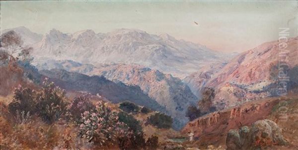 Lauriers Rose Dans Les Montagnes De Kabylie Oil Painting by Maxime Noire