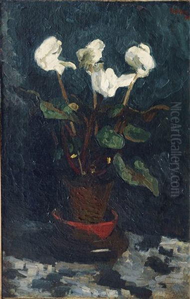 Cyclamen Oil Painting by Franz Noelken