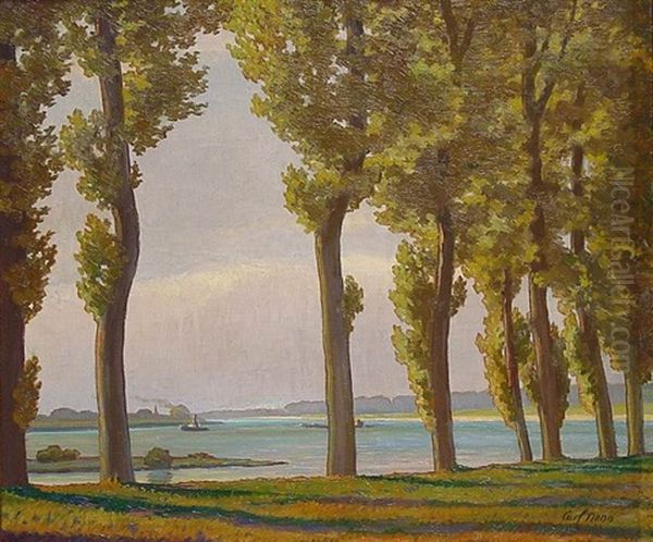 Am Rhein. An Der Siegaue Vor Schwarzrheindorf Oil Painting by Carl Nonn