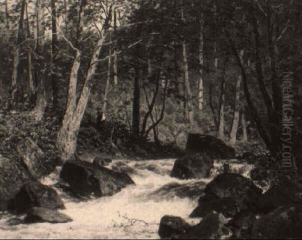 A Stream In A Wooded Landscape Oil Painting by Axel Wilhelm Nordgren