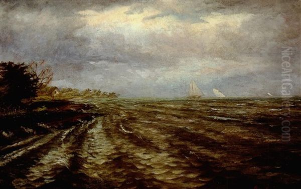 Edge Of Pontchartrain From Mandeville Oil Painting by August Norieri