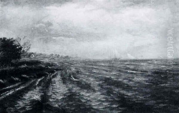 Edge Of Pontchartrain From Mandeville Oil Painting by August Norieri