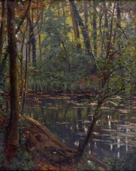 Riviere Dans Un Sous-bois Oil Painting by Henri Biva