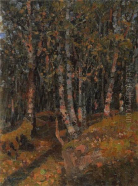 Sonnenbescheinener Birkenwald Oil Painting by Adelsteen Normann