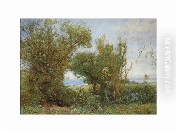 The Grass Of The Field Oil Painting by John William North