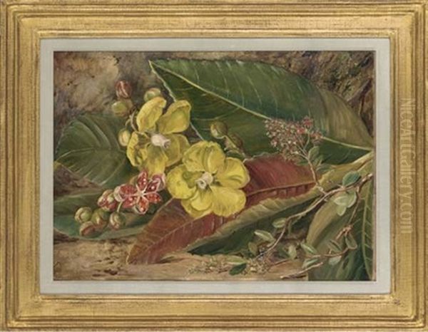 Wormia, Excelsior And Henna Oil Painting by Marianne North