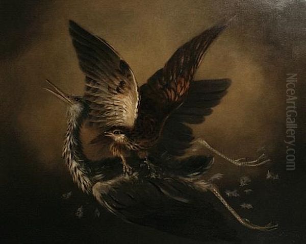 A Goshawk Attacking A Grey Heron Oil Painting by James (Thomas J.) Northcote