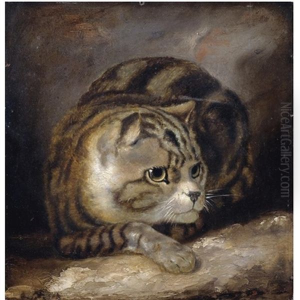 A Wild Cat by James (Thomas J.) Northcote