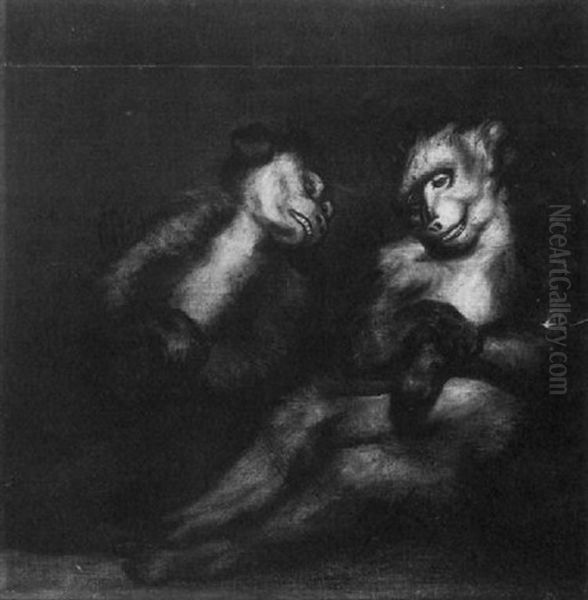 Study Of Two Monkeys Oil Painting by James (Thomas J.) Northcote